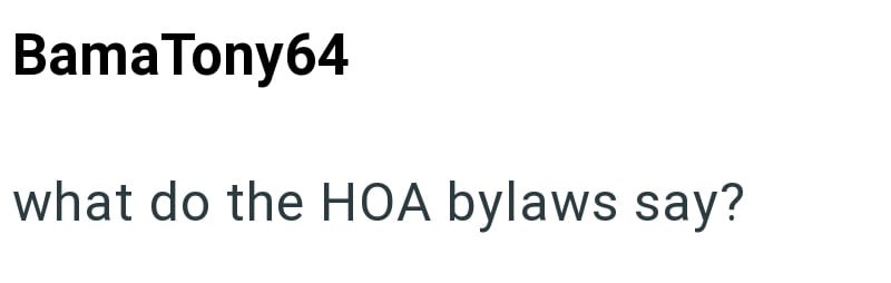 Bama Tony64 what do the HOA bylaws say?