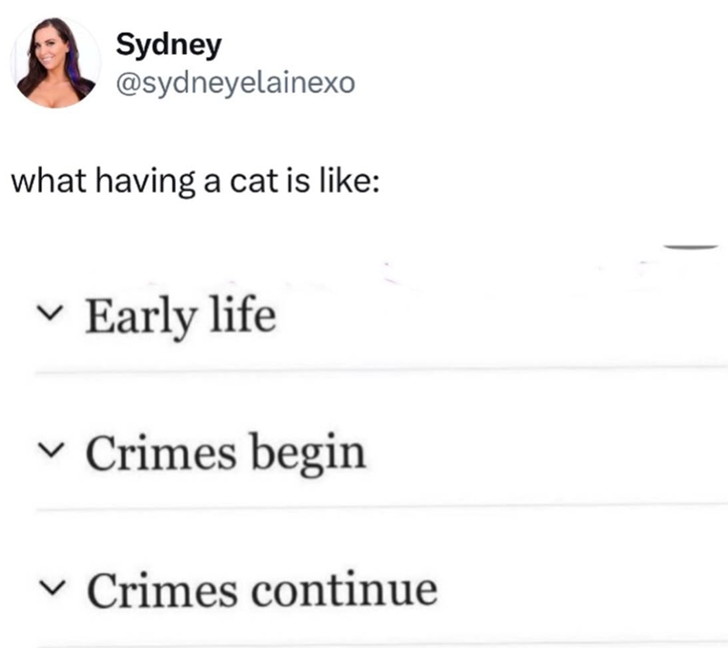 Sydney @sydneyelainexo what having a cat is like: Early life Crimes begin Crimes continue