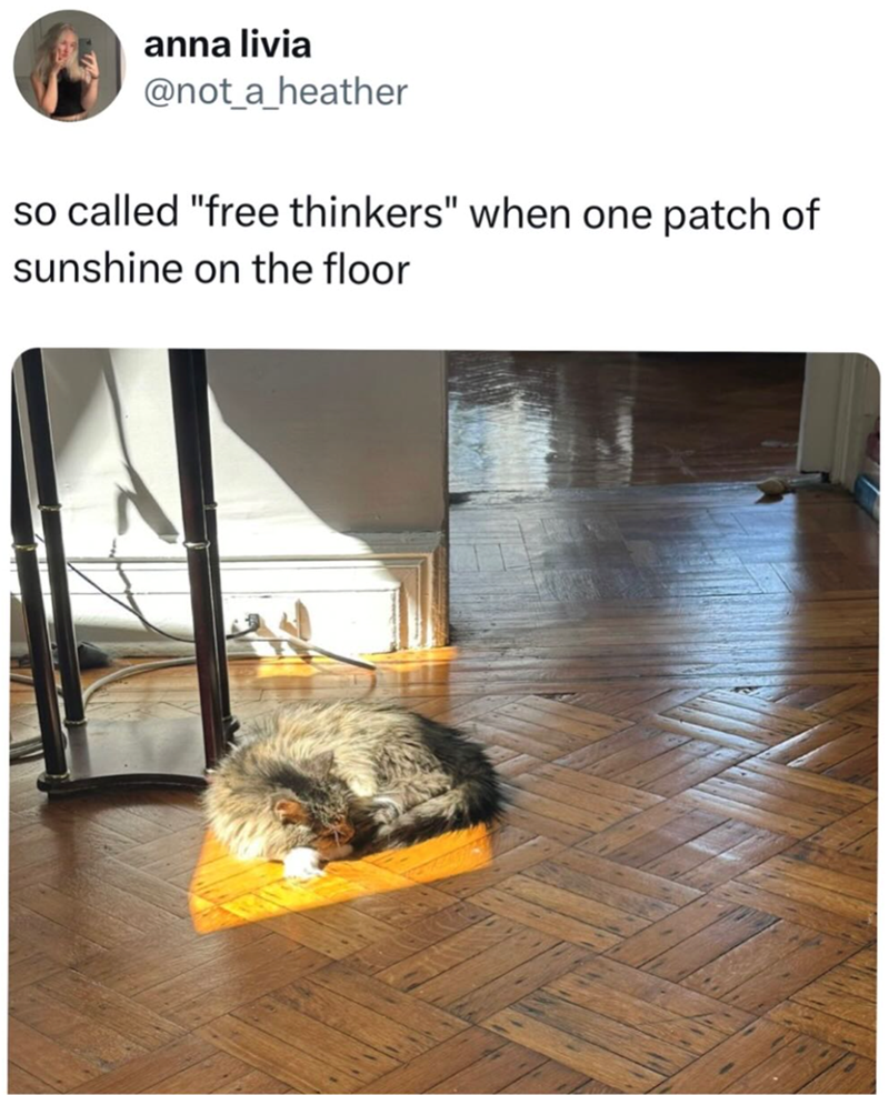 anna livia @not_a_heather so called "free thinkers" when one patch of sunshine on the floor