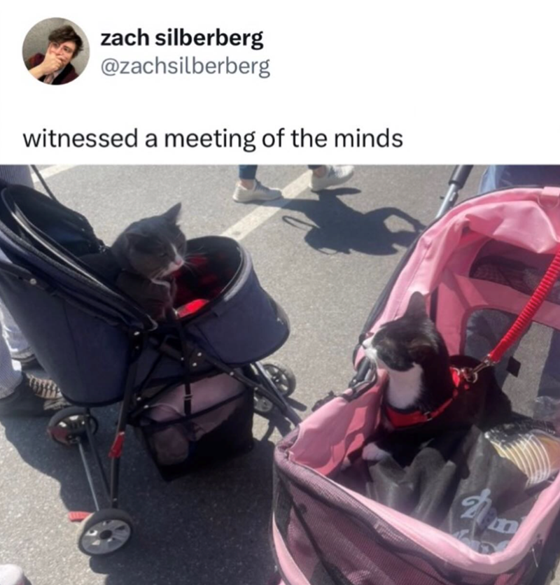 zach silberberg @zachsilberberg witnessed a meeting of the minds