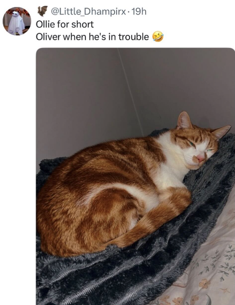 @Little_Dhampirx. 19h Ollie for short Oliver when he's in trouble