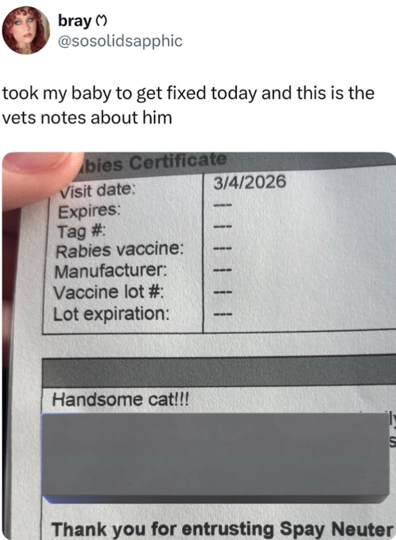bray M @sosolidsapphic took my baby to get fixed today and this is the vets notes about him bies Certificate Visit date: Expires: Tag #: Rabies vaccine: Manufacturer: Vaccine lot #: Lot expiration: 3/4/2026 Handsome cat!!! | | | | Thank you for entrusting Spay Neuter