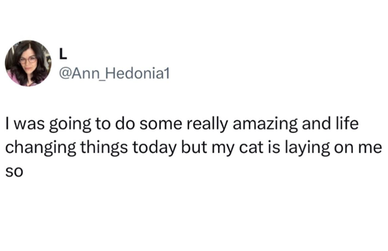 L @Ann Hedonia1 I was going to do some really amazing and life changing things today but my cat is laying on me SO