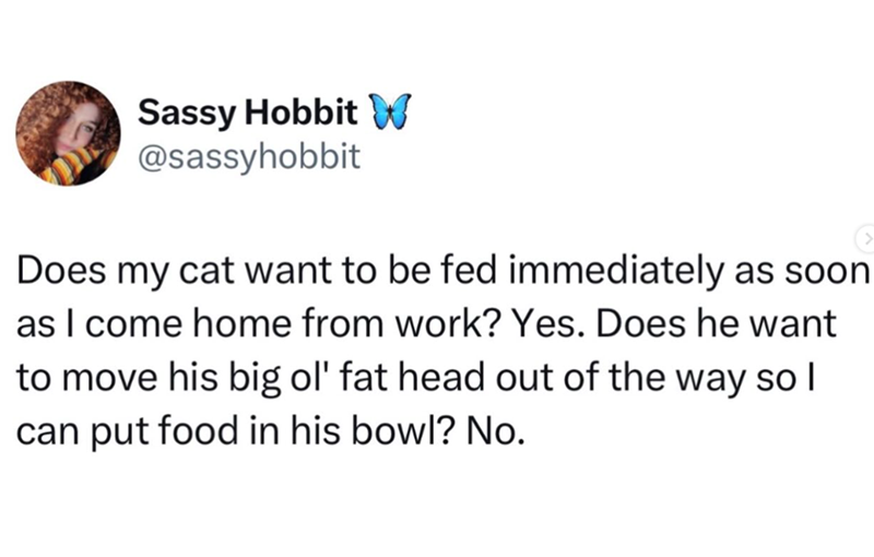 Sassy Hobbit W @sassyhobbit Does my cat want to be fed immediately as soon as I come home from work? Yes. Does he want to move his big ol' fat head out of the way so I can put food in his bowl? No.