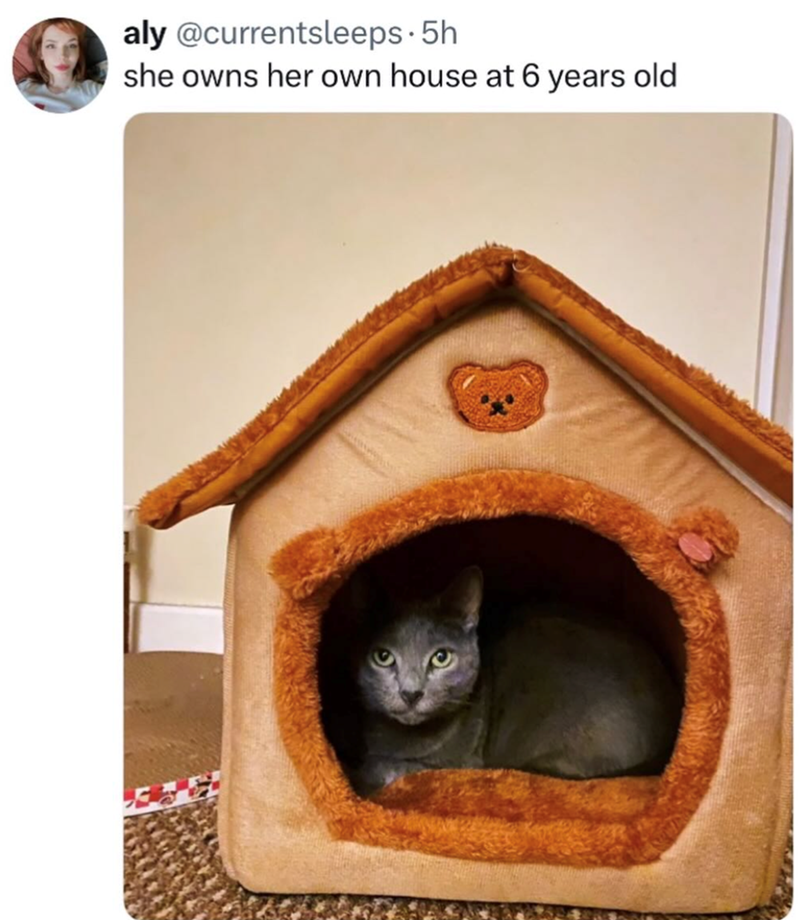 aly @currentsleeps.5h she owns her own house at 6 years old