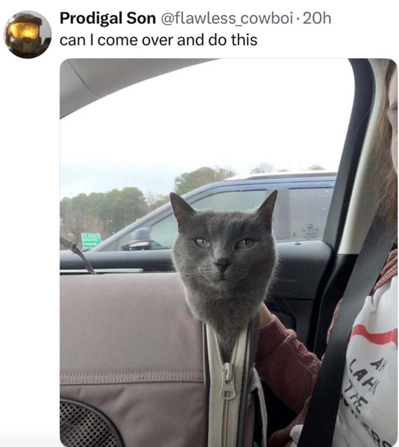 Prodigal Son @flawless_cowboi-20h can I come over and do this AR LAH THE