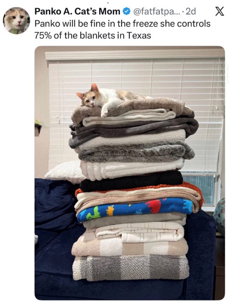 Panko A. Cat's Mom @fatfatpa.... 2d X Panko will be fine in the freeze she controls 75% of the blankets in Texas