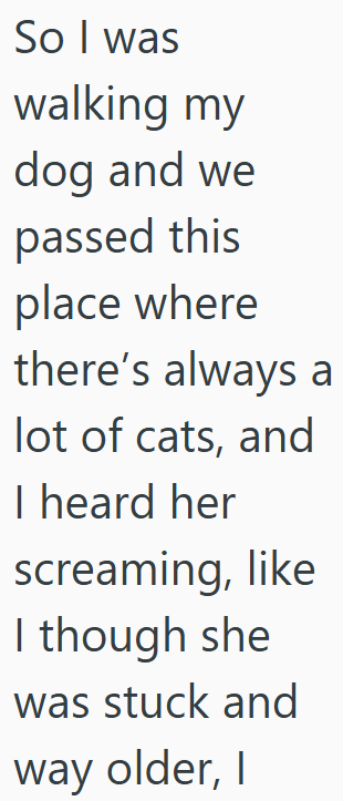 So I was walking my dog and we passed this place where there's always a lot of cats, and I heard her screaming, like I though she was stuck and way older, I