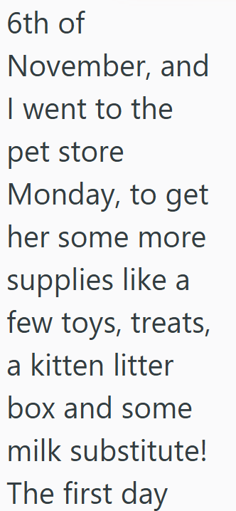 6th of November, and I went to the pet store Monday, to get her some more supplies like a few toys, treats, a kitten litter box and some milk substitute! The first day