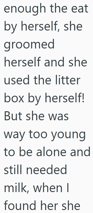 enough the eat by herself, she groomed herself and she used the litter box by herself! But she was way too young to be alone and still needed milk, when I found her she