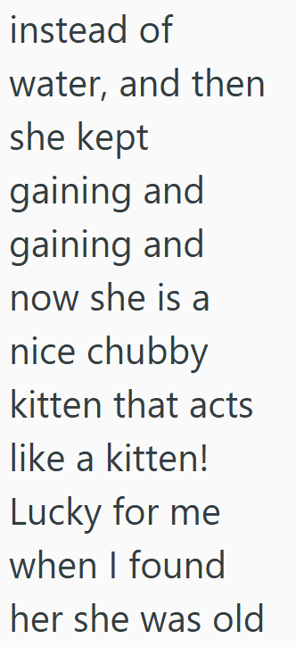 instead of water, and then she kept gaining and gaining and now she is a nice chubby kitten that acts like a kitten! Lucky for me when I found her she was old