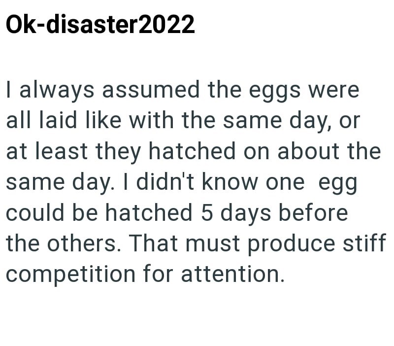 Ok-disaster2022 I always assumed the eggs were all laid like with the same day, or at least they hatched on about the same day. I didn't know one egg could be hatched 5 days before the others. That must produce stiff competition for attention.
