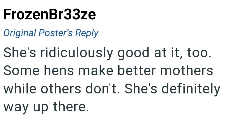 FrozenBr33ze Original Poster's Reply She's ridiculously good at it, too. Some hens make better mothers while others don't. She's definitely way up there.
