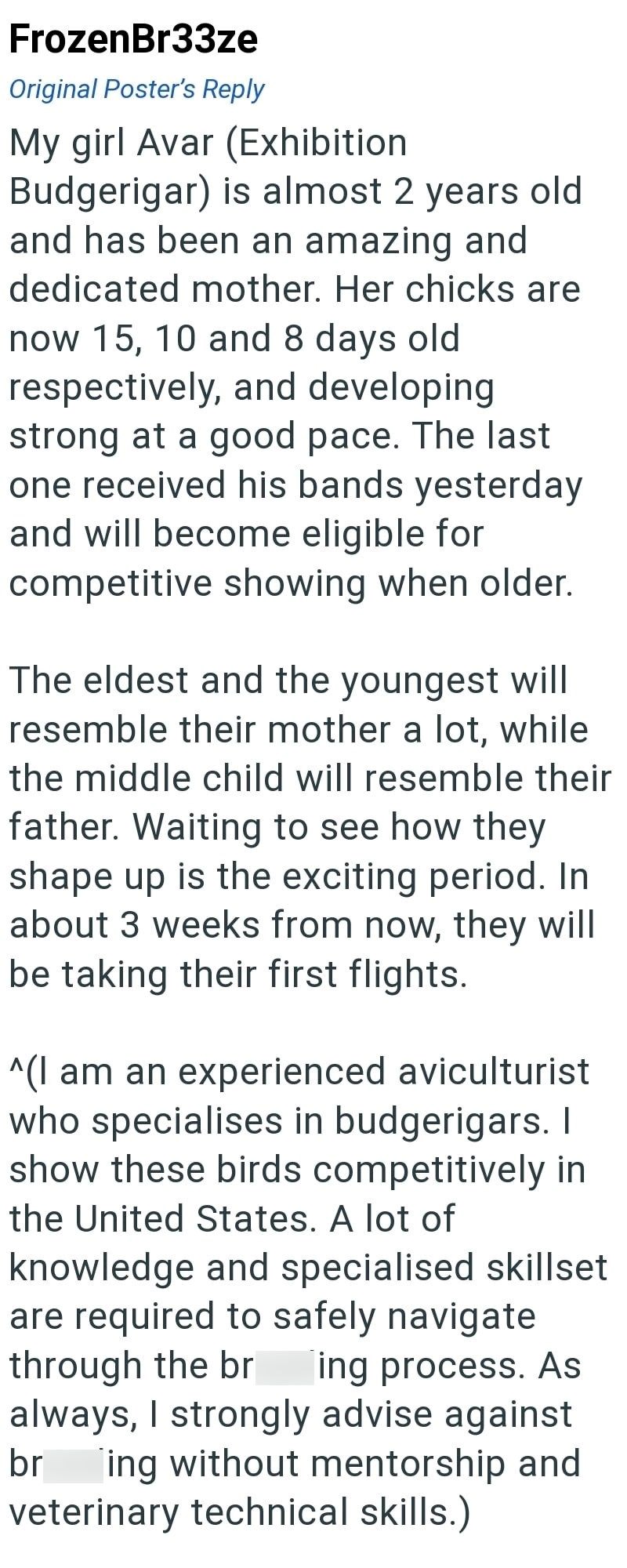 FrozenBr33ze Original Poster's Reply My girl Avar (Exhibition Budgerigar) is almost 2 years old and has been an amazing and dedicated mother. Her chicks are now 15, 10 and 8 days old respectively, and developing strong at a good pace. The last one received his bands yesterday and will become eligible for competitive showing when older. The eldest and the youngest will resemble their mother a lot, while the middle child will resemble their father. Waiting to see how they shape up is the exciting