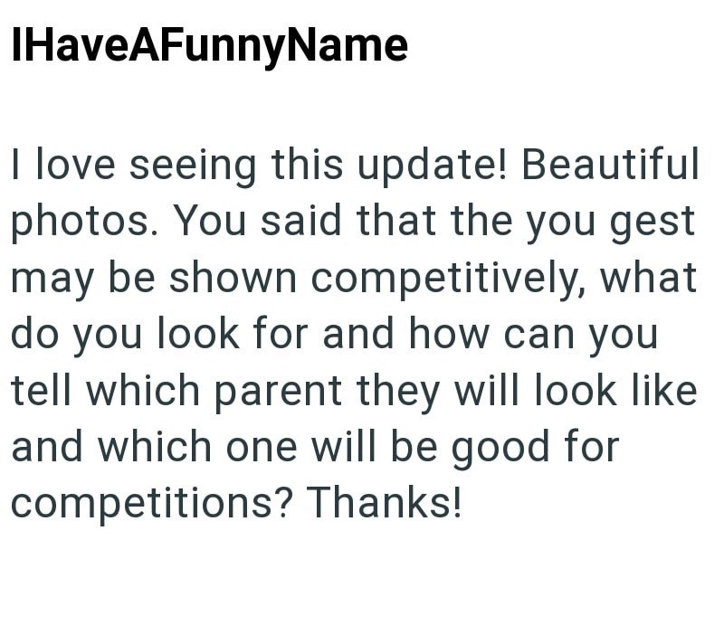 IHaveAFunnyName I love seeing this update! Beautiful photos. You said that the you gest may be shown competitively, what do you look for and how can you tell which parent they will look like and which one will be good for competitions? Thanks!