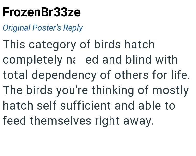 FrozenBr33ze Original Poster's Reply This category of birds hatch completely na ed and blind with total dependency of others for life. The birds you're thinking of mostly hatch self sufficient and able to feed themselves right away.