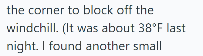 the corner to block off the windchill. (It was about 38°F last night. I found another small