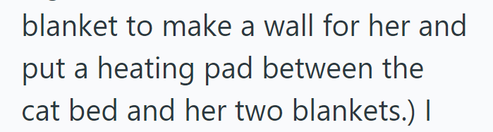 blanket to make a wall for her and put a heating pad between the cat bed and her two blankets.) I
