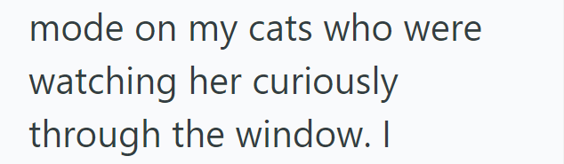 mode on my cats who were watching her curiously through the window. I