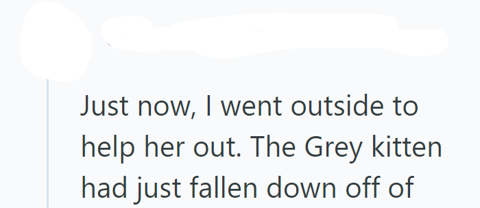 Just now, I went outside to help her out. The Grey kitten had just fallen down off of