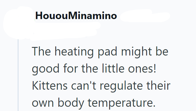 HououMinamino The heating pad might be good for the little ones! Kittens can't regulate their own body temperature.