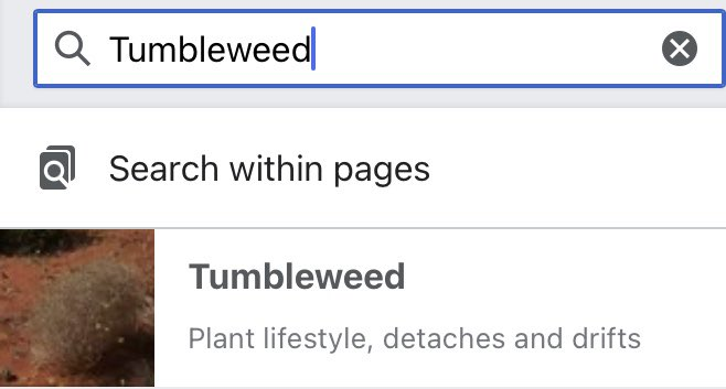 Q Tumbleweed Q Search within pages Tumbleweed Plant lifestyle, detaches and drifts ✓