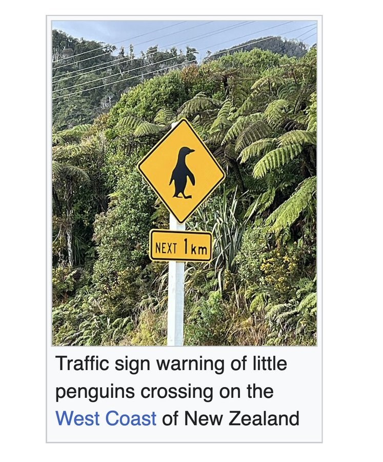 NEXT 1km Traffic sign warning of little penguins crossing on the West Coast of New Zealand