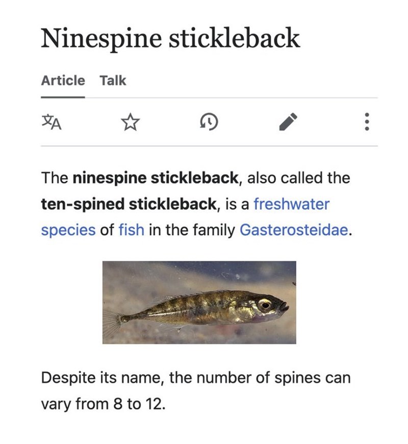 Ninespine stickleback Article Talk A ☆ G ... The ninespine stickleback, also called the ten-spined stickleback, is a freshwater species of fish in the family Gasterosteidae. Despite its name, the number of spines can vary from 8 to 12.