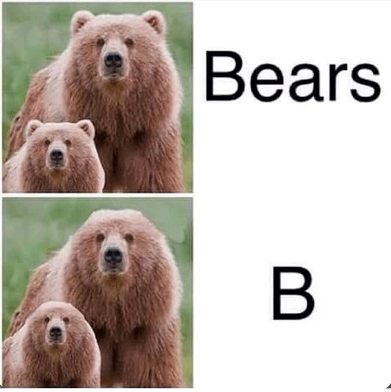Bears B