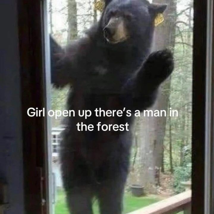 Girl open up there's a man in the forest