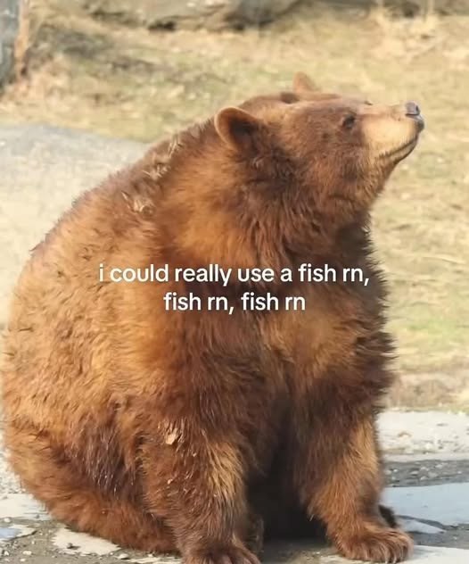 i could really use a fish rn, fish rn, fish rn