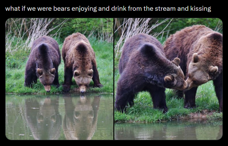what if we were bears enjoying and drink from the stream and kissing