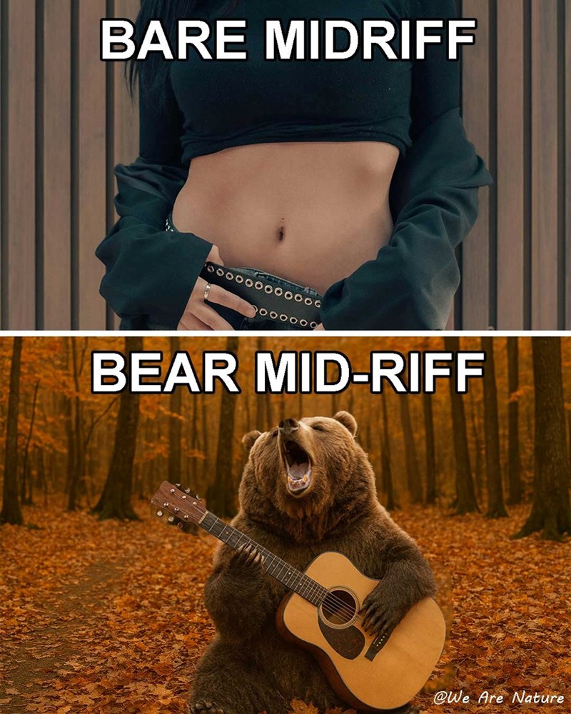 BARE MIDRIFF oooooooOOOOG BEAR MID-RIFF @We Are Nature