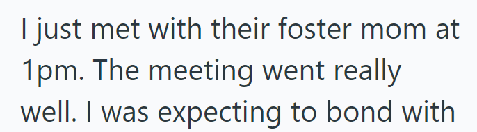 I just met with their foster mom at 1pm. The meeting went really well. I was expecting to bond with