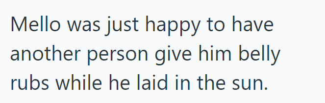 Mello was just happy to have another person give him belly rubs while he laid in the sun.