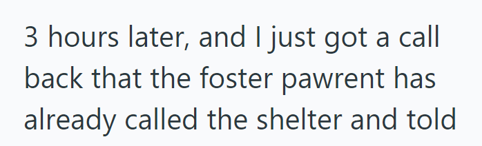 3 hours later, and I just got a call back that the foster pawrent has already called the shelter and told