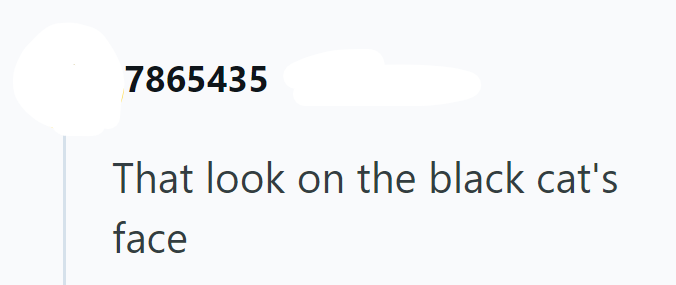 7865435 That look on the black cat's face