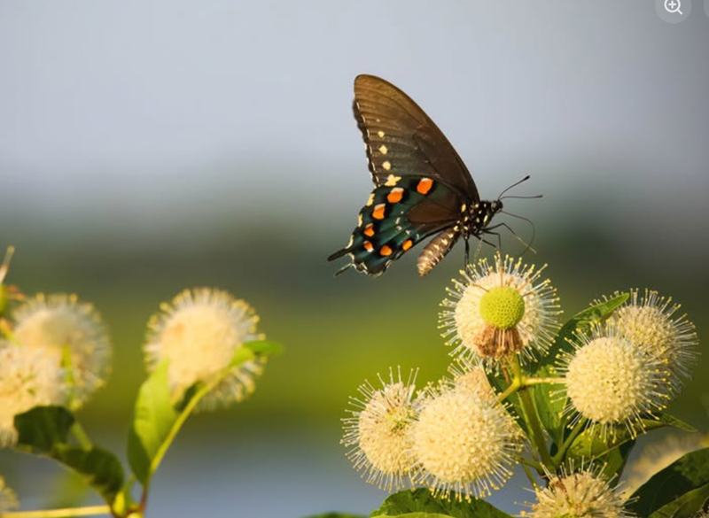 Cheezburger Image 10620031488