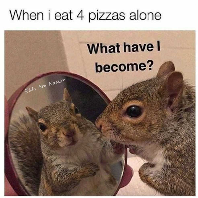 When i eat 4 pizzas alone What have I become? @We Are Nature
