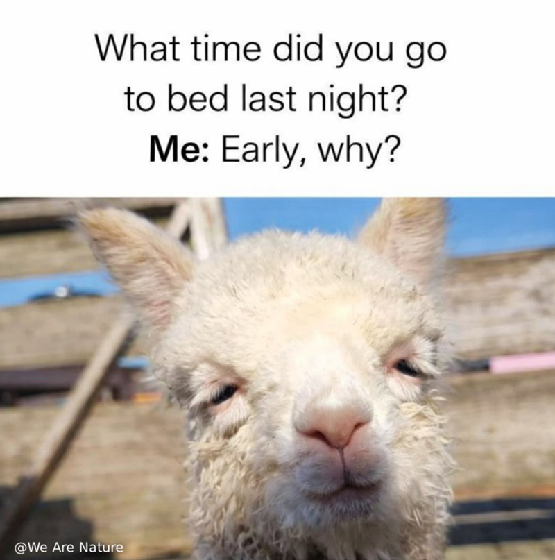 What time did you go to bed last night? Me: Early, why? @We Are Nature