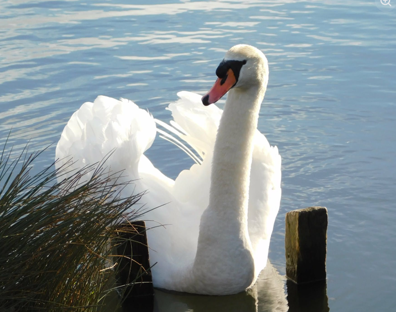 Cheezburger Image 10620033792