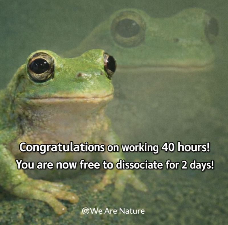 Congratulations on working 40 hours! You are now free to dissociate for 2 days! @We Are Nature