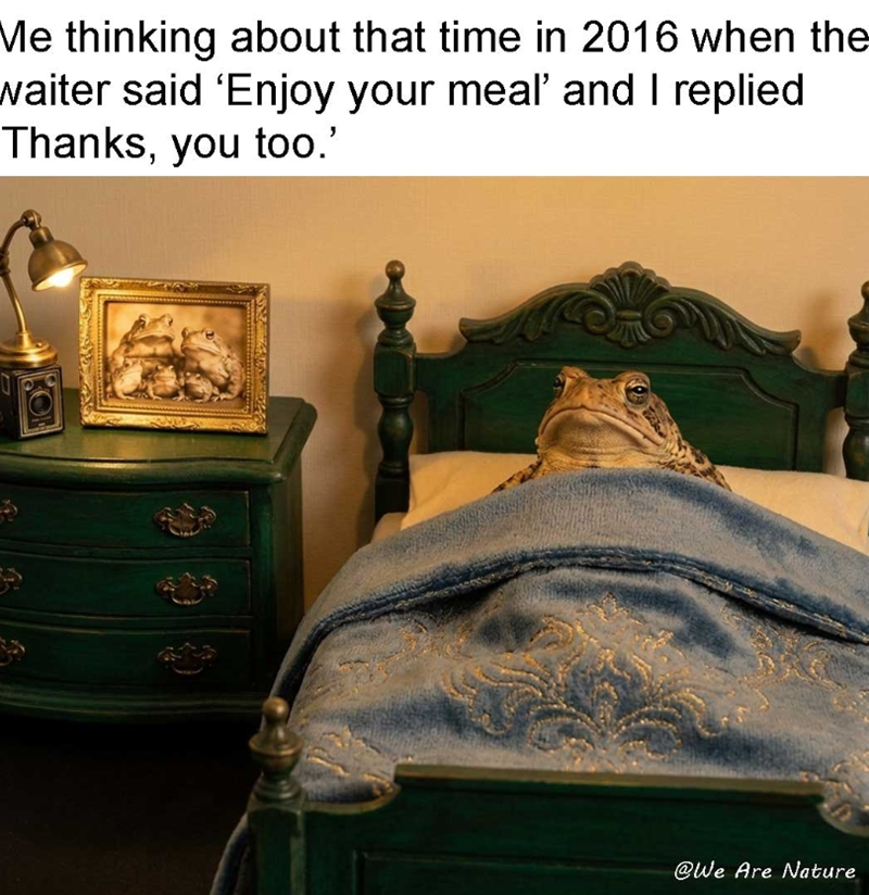 Me thinking about that time in 2016 when the waiter said ‘Enjoy your meal' and I replied Thanks, you too.' @We Are Nature