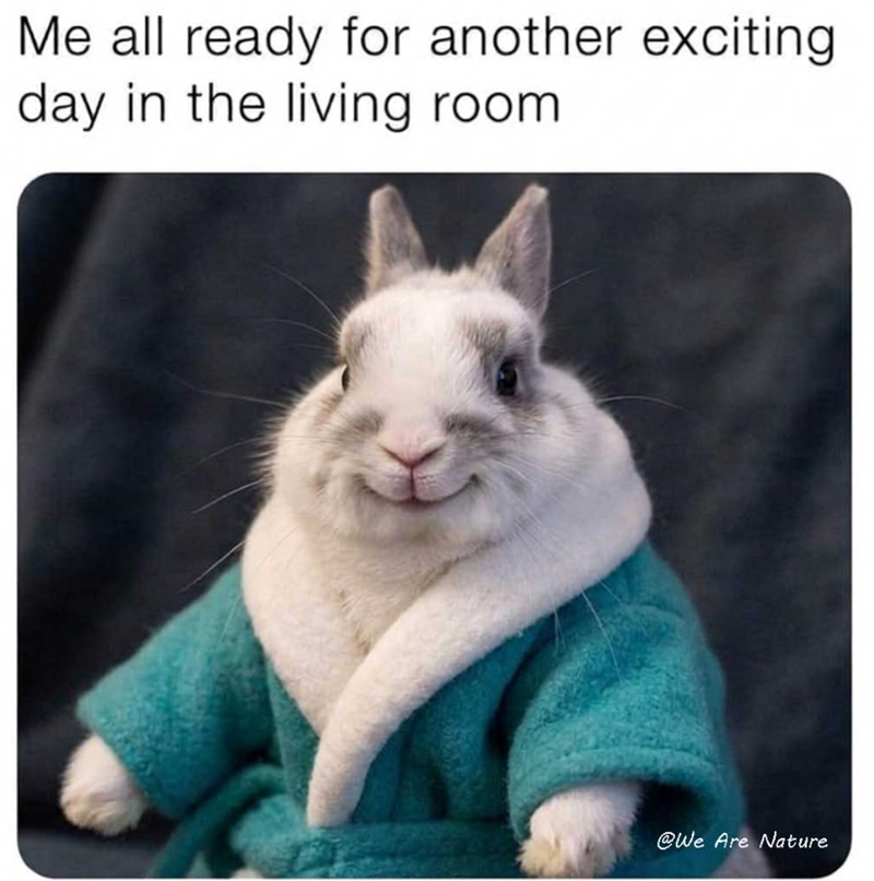 Me all ready for another exciting day in the living room @We Are Nature