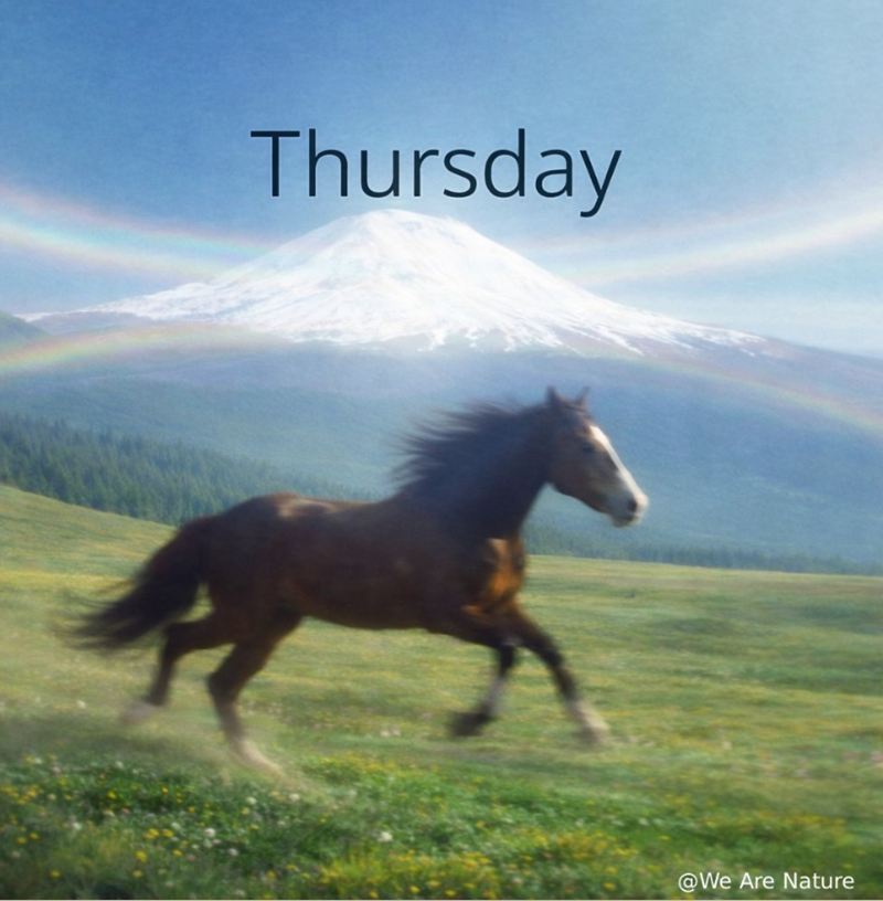 Thursday @We Are Nature