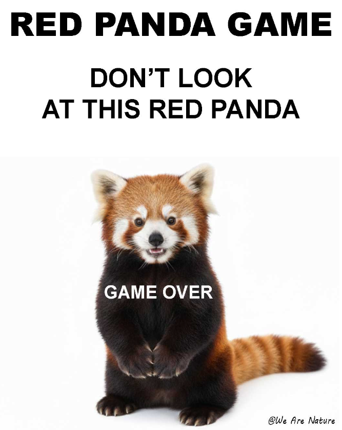 RED PANDA GAME DON'T LOOK AT THIS RED PANDA GAME OVER @We Are Nature
