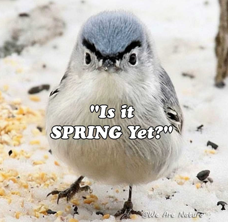 Is it SPRING Yet? @We Are Nature