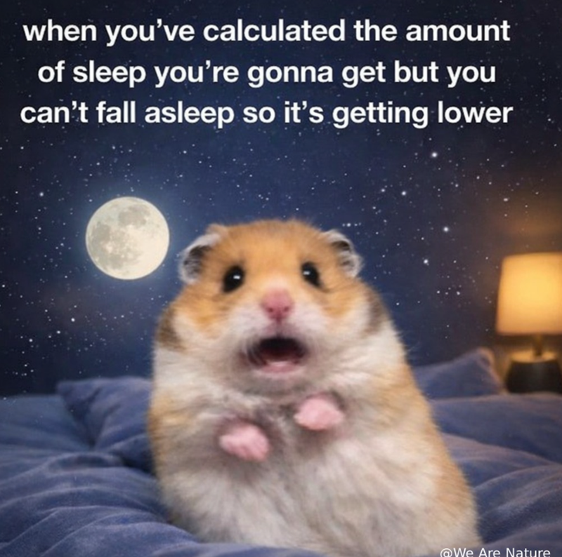 when you've calculated the amount of sleep you're gonna get but you can't fall asleep so it's getting lower @We Are Nature