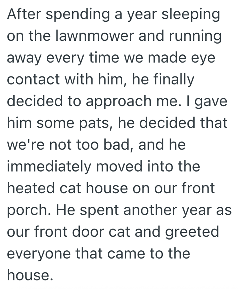 After spending a year sleeping on the lawnmower and running away every time we made eye contact with him, he finally decided to approach me. I gave him some pats, he decided that we're not too bad, and he immediately moved into the heated cat house on our front porch. He spent another year as our front door cat and greeted everyone that came to the house.