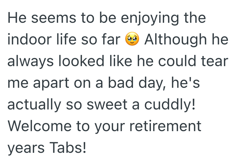 He seems to be enjoying the indoor life so far Although he always looked like he could tear me apart on a bad day, he's actually so sweet a cuddly! Welcome to your retirement years Tabs!